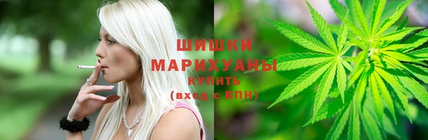 тгк Богородск