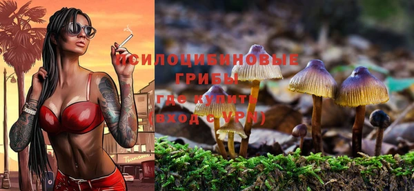 синтетический гашиш Богородицк