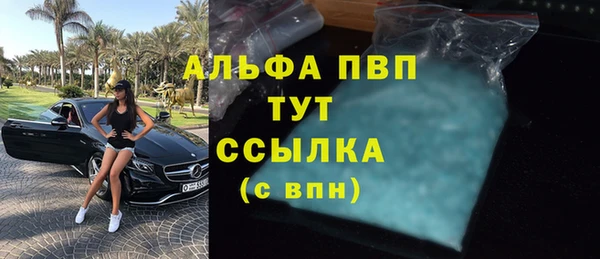 эйфоретик Бородино