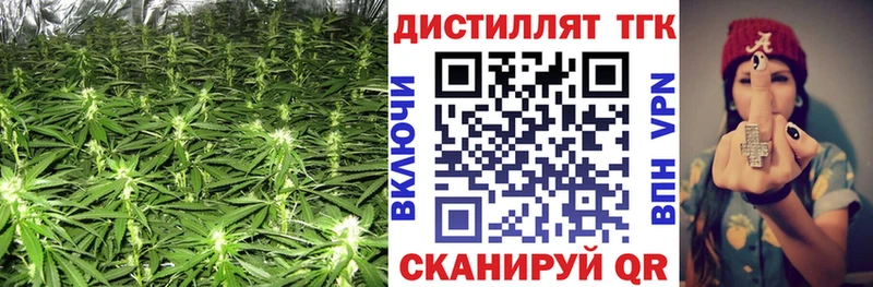 Купить закладки  Вологда  ТГК концентрат 