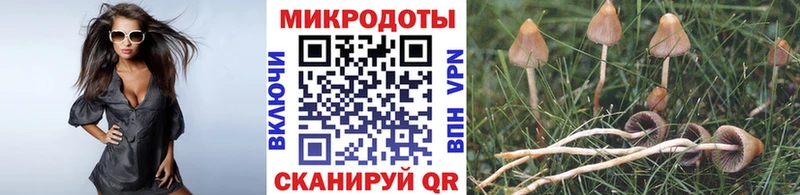 Псилоцибиновые грибы Magic Shrooms Купить закладки Вологда