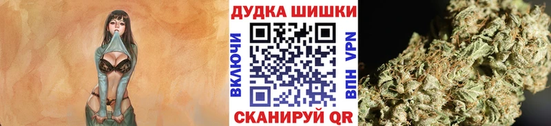 Купить закладки  Вологда  Шишки марихуана план 